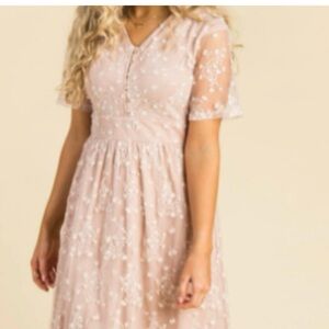 Arbor blush pink Lace vneck Dress